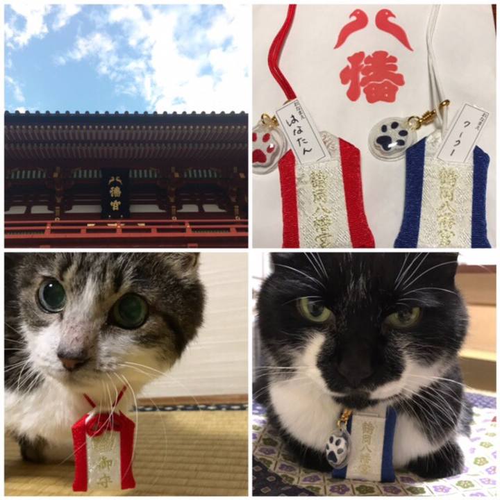 Eb2087a9 ac17 47a5 9391 a9b9d173c923