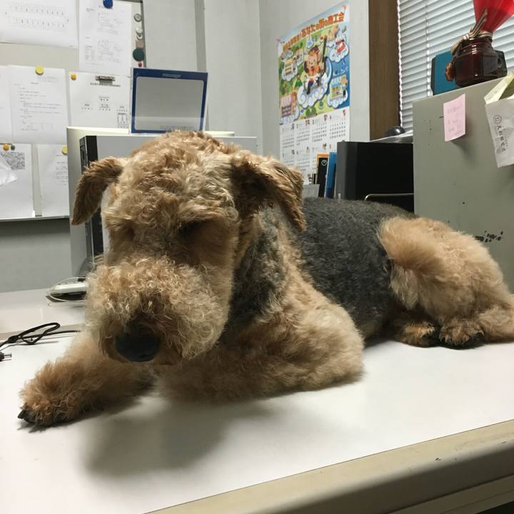 Eb21139c 06c4 461a 9507 fe24e0642e5e