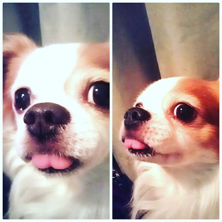 Eb216c00 a8f7 4bef b992 c0bbf592ebdb