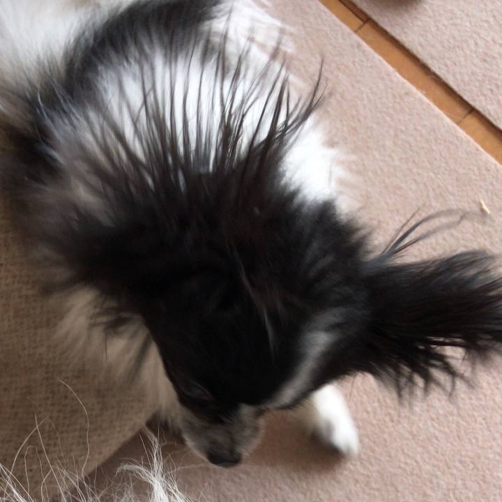 Eb21d277 7325 4371 8634 71e20d6a4cd6