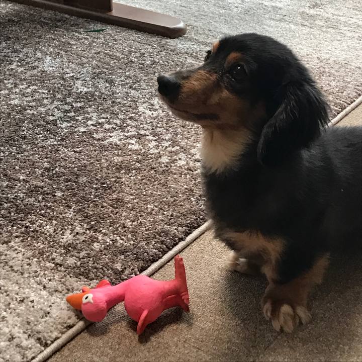 Eb21daa2 c3be 4521 88a7 1cbe30c23f94