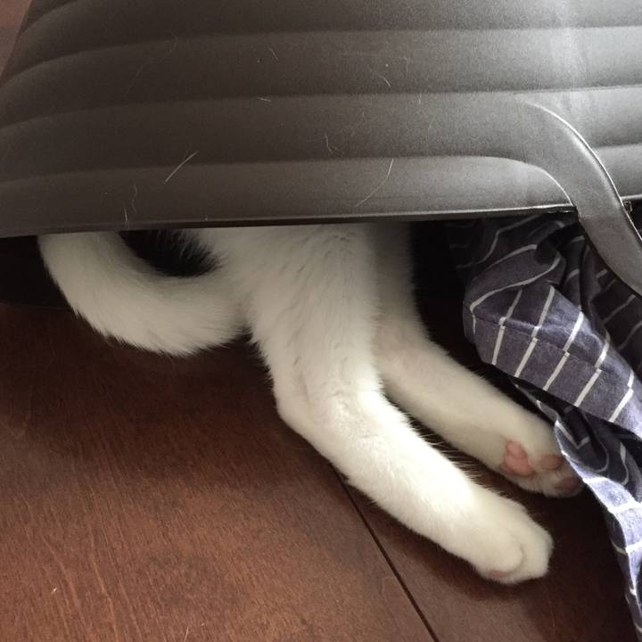 Eb22267e eeaf 4761 b5ff 641c517a75a9