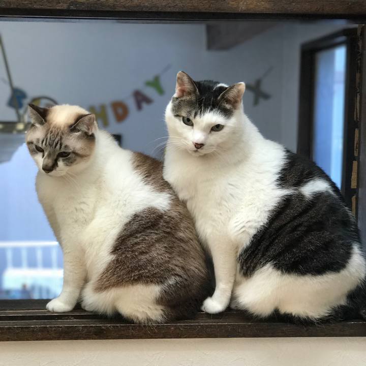 Eb222de6 b694 4bfd b524 38bc3b4a9cb5