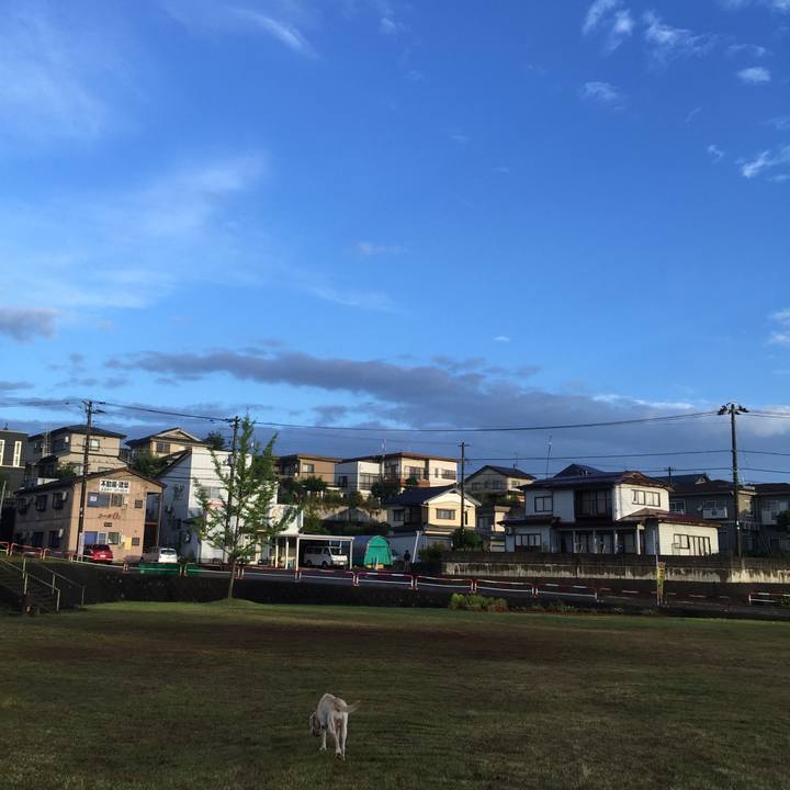 Eb225cd0 7a68 4626 bf6e 26e181aedf3a