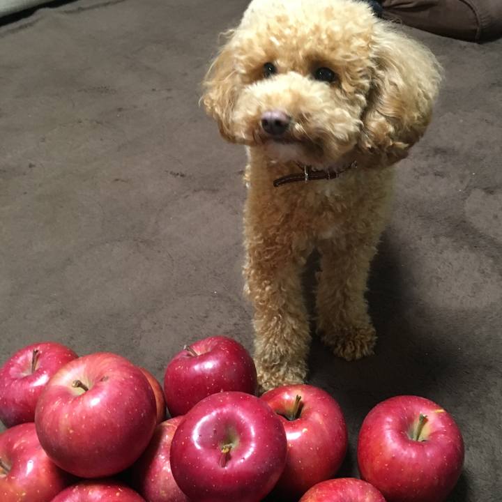 Eb2265d9 c471 43b5 97d5 51191b863036