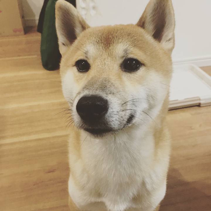 Eb22812b 8a87 4b42 b99e a7ce2fe833fd