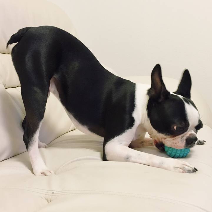 Eb233b44 101b 432b 8a39 4f59a27ccfe6