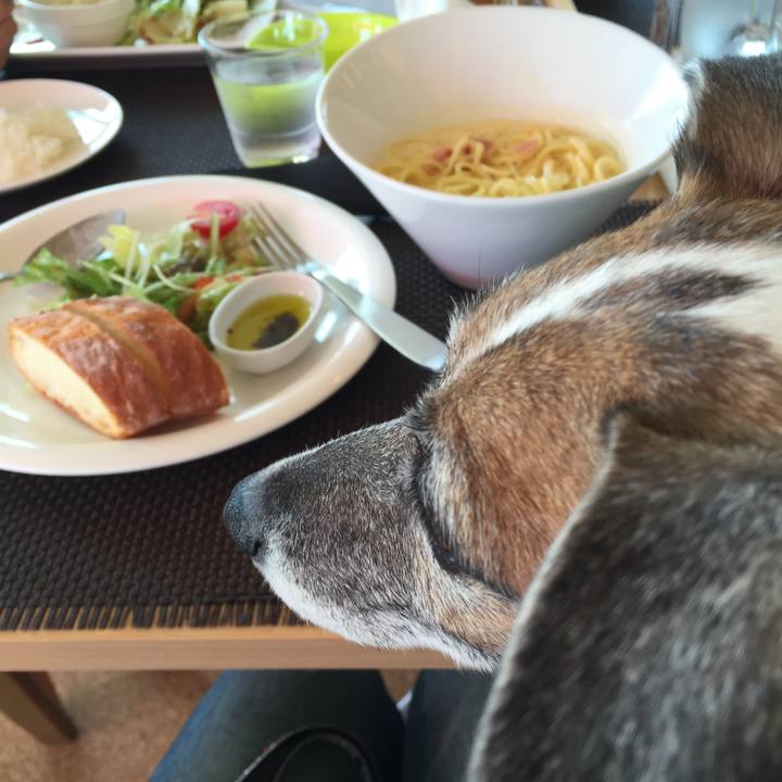 Eb241b11 04e9 40c4 9994 162d10f5ccc2