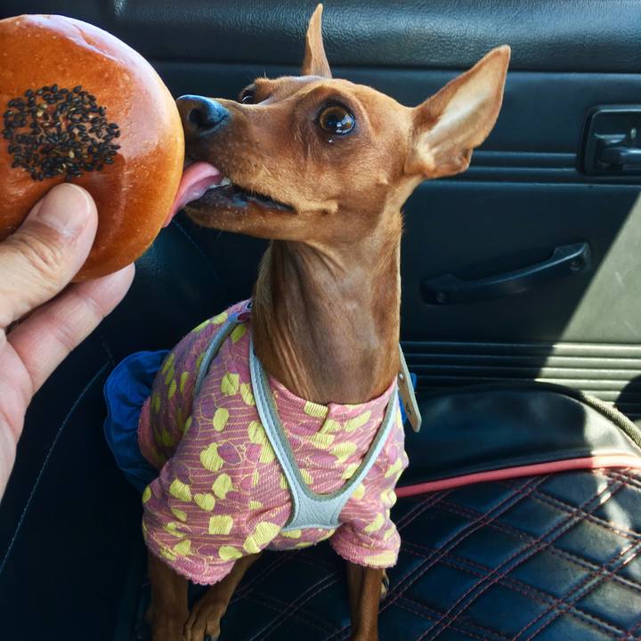 Eb2446e9 eed2 403f 8987 e085a68b811e