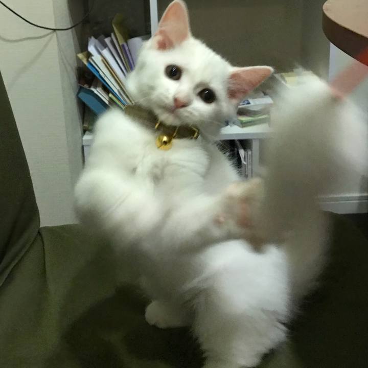 Eb253ec6 36e2 4519 8771 6dffab5d712a