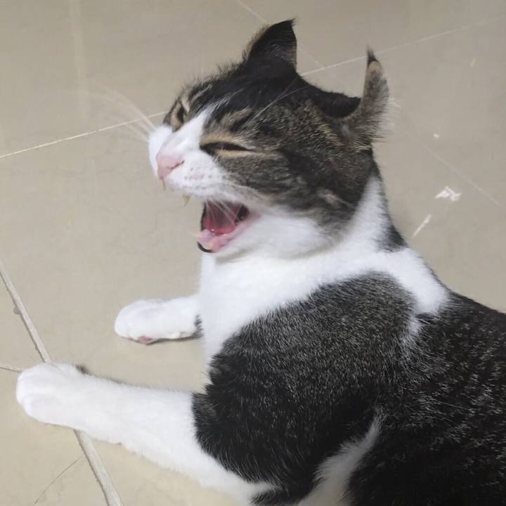 Eb2625e0 8b68 4b03 848a c5817ebe1407