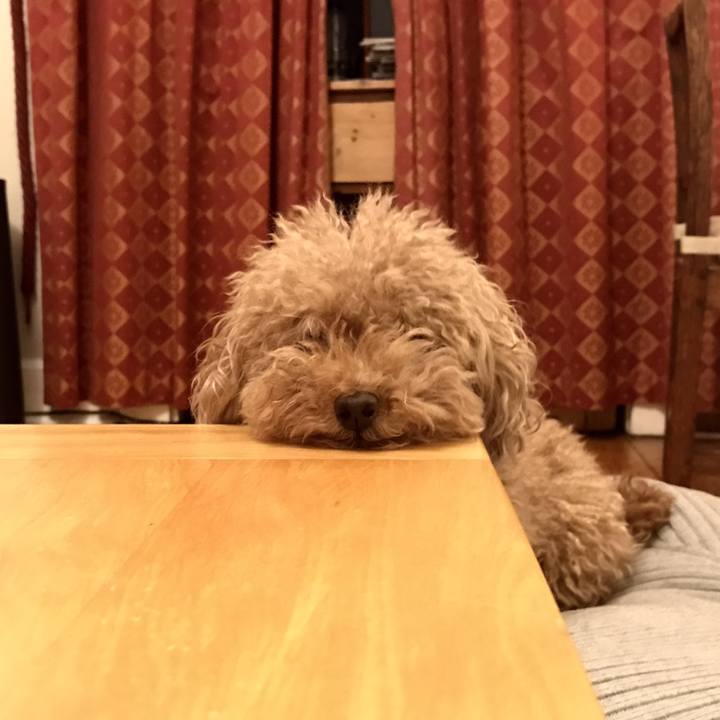 Eb2680ab 3b98 42db bdea 6b001ac2820f