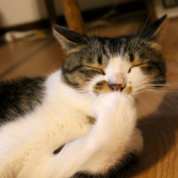 Eb276561 e00c 4227 8850 52edd00085d0