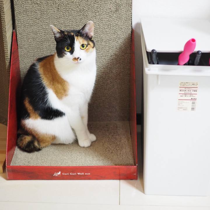 Eb27ec6b 1374 4d57 ac16 5faa052de102