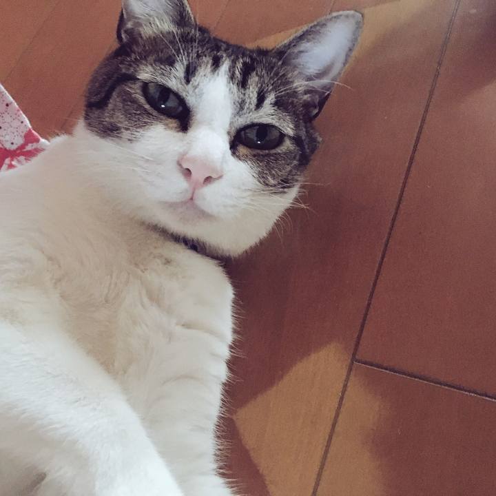 Eb2b1b3a b052 4209 a57f df0bb8425e7f