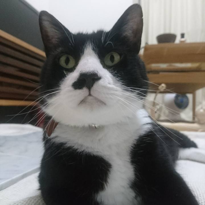 Eb2b436b 6d99 4f54 be19 935ea5db46d5