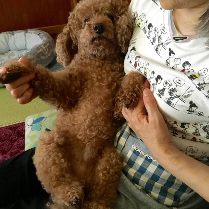 Eb2be871 4e61 470e 9556 9e65c1d0a88a