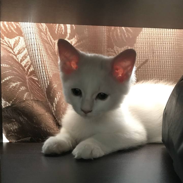 Eb2bef19 9ecf 47b5 97ad 0bbcc07550dc