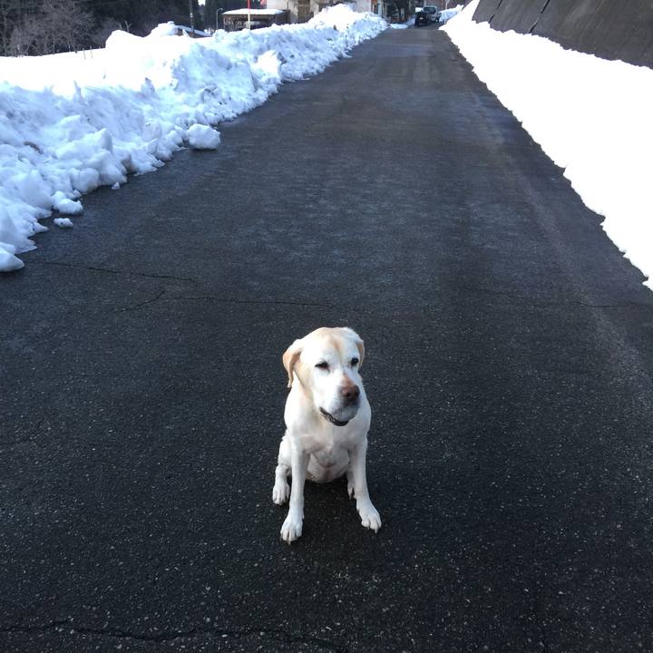 Eb2c1561 aea4 47ac 93f9 c8b56adb60b6