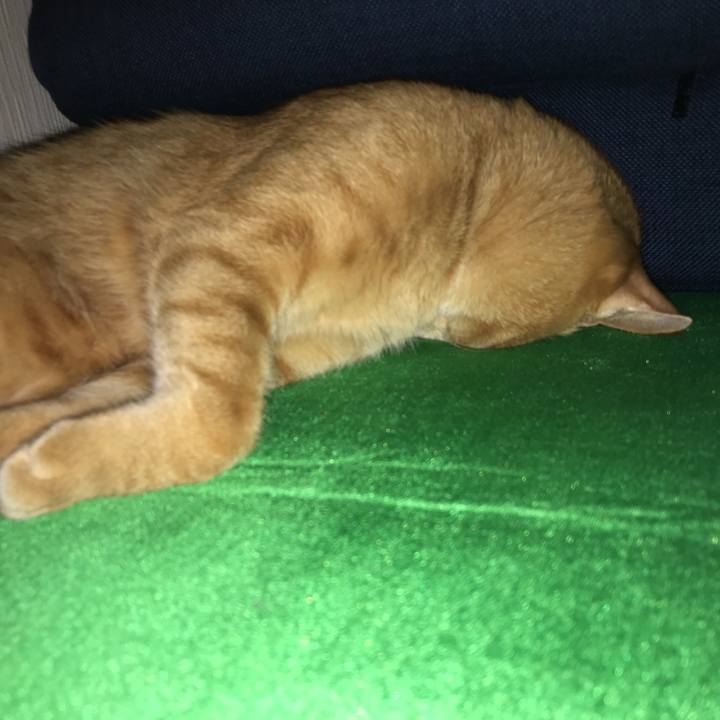 Eb2c68fc ab22 428a aa09 d1b402a6ef2c