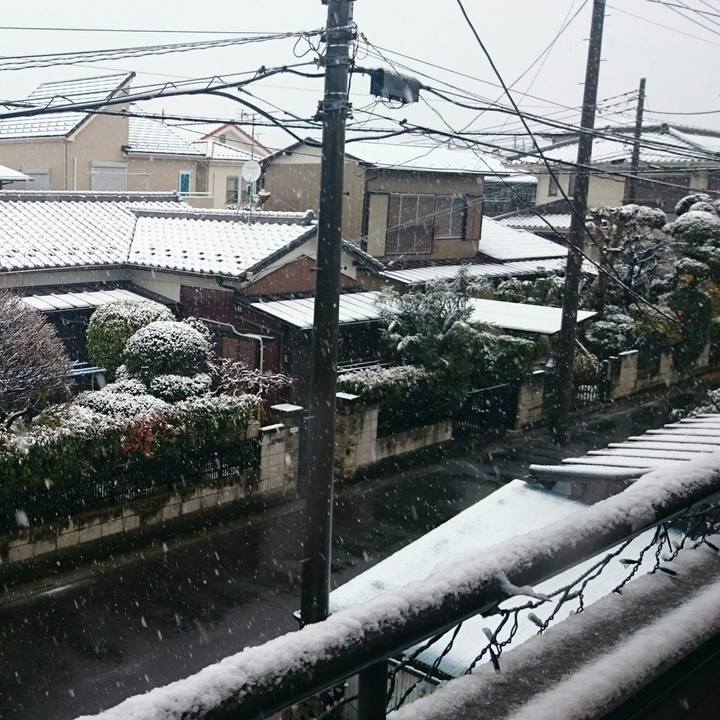 Eb2caf65 0df9 4412 8bf7 6b2e28825499