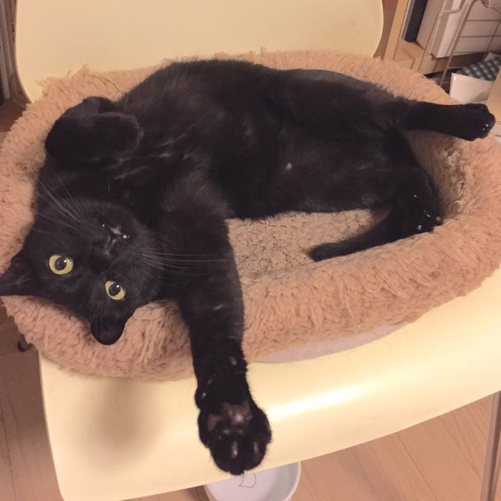 Eb2d108f 7d0a 424f b134 ff40c61cae57