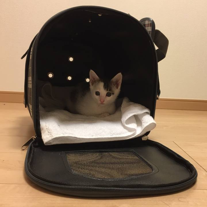 Eb2d48f3 fd14 447c 9521 095077d99e99