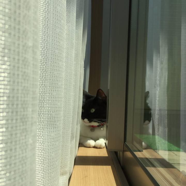 Eb2e7724 9173 42c3 92a4 dfc403aa1299