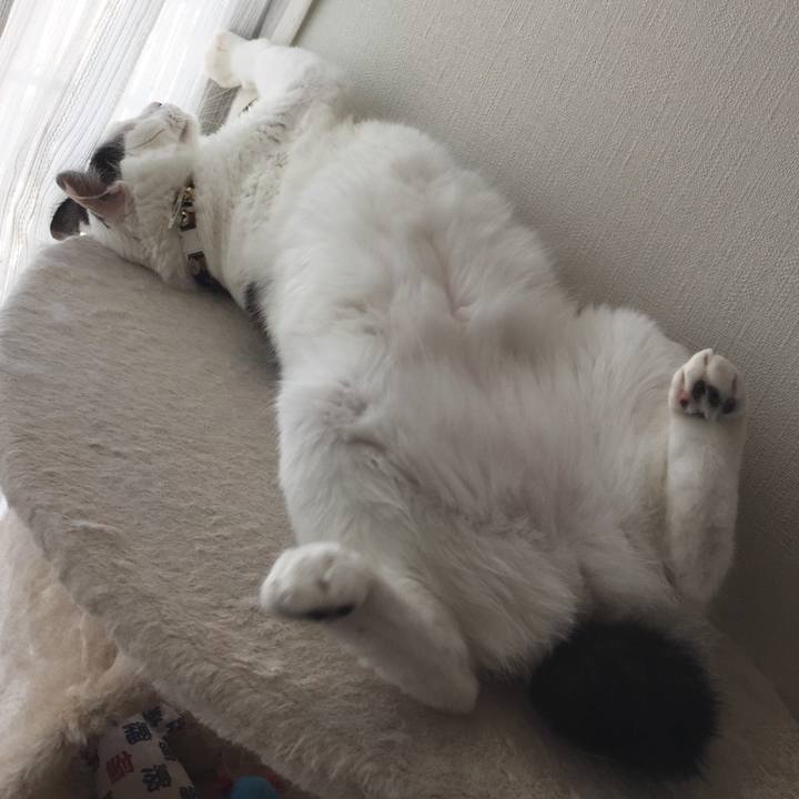 Eb2e8188 e747 44cf 8ab2 cc38978d68cd