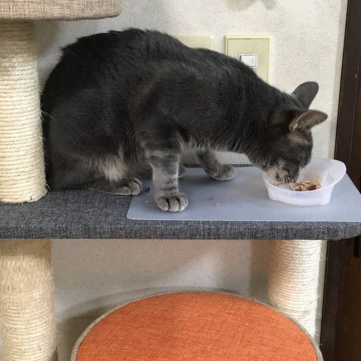 Eb2ead27 1ba9 4ef4 9ac3 8c2630a49887