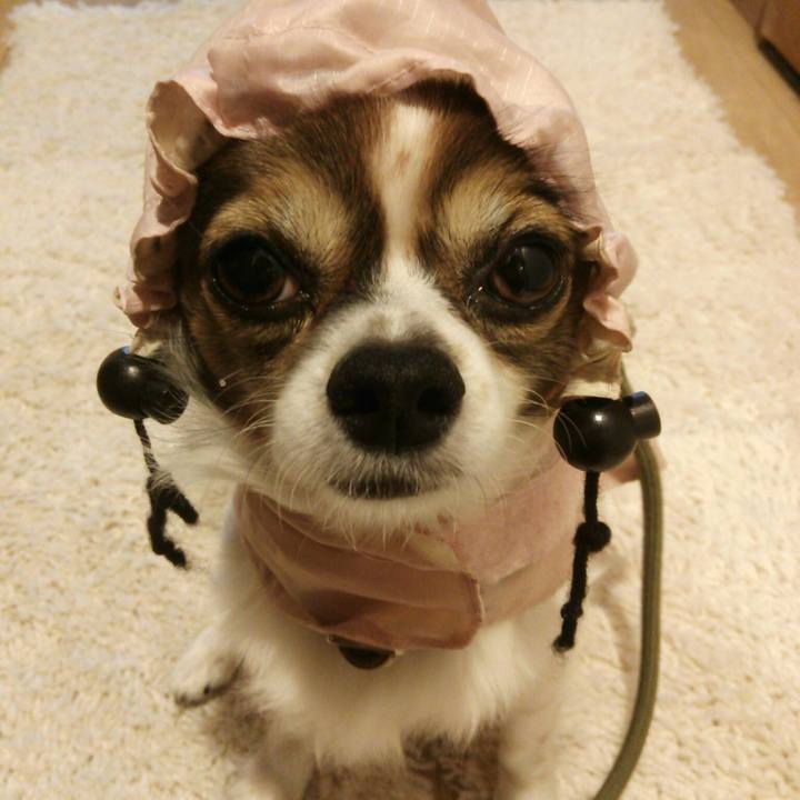 Eb2ed2aa 6200 4b5a 98c6 d57b1a66baa4