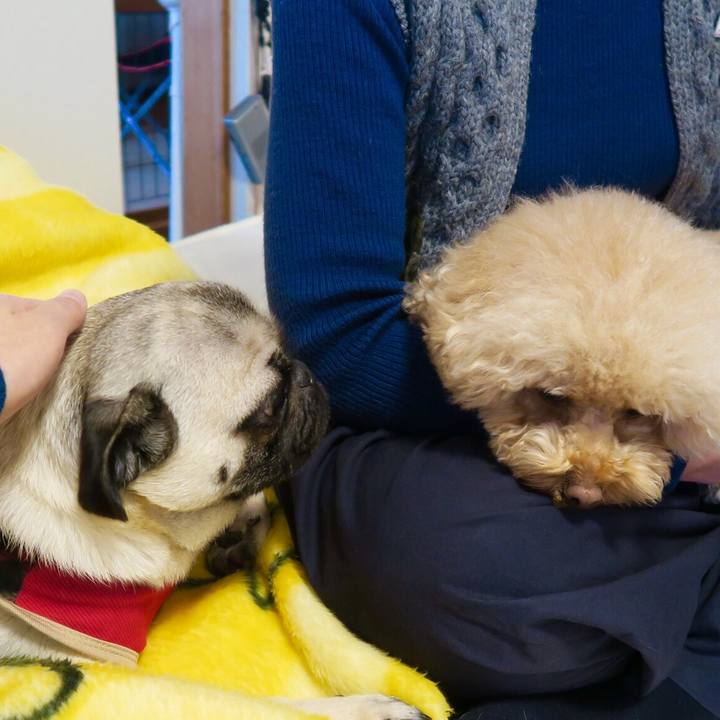 Eb2edf61 b3c1 4c8c a6a3 192ad1161d09