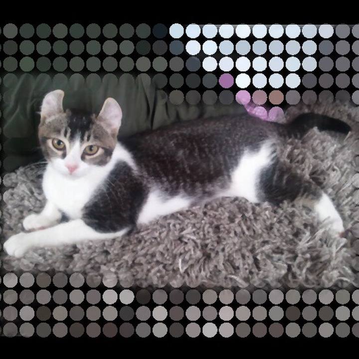 Eb2efe42 201d 49a4 83ec bd069fd1fe53