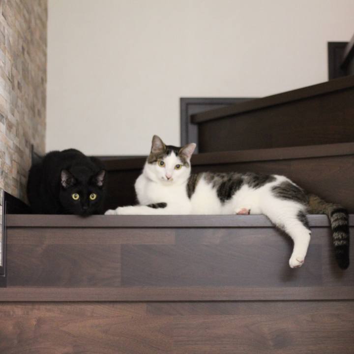 Eb2f44c3 b609 4941 ab63 18563802eb19