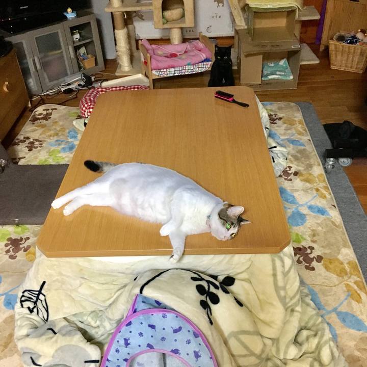 Eb3061fa 69da 478d a10c edd537a0af84