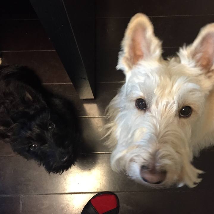 Eb3074b4 86b9 46d0 859c d9f46580173b