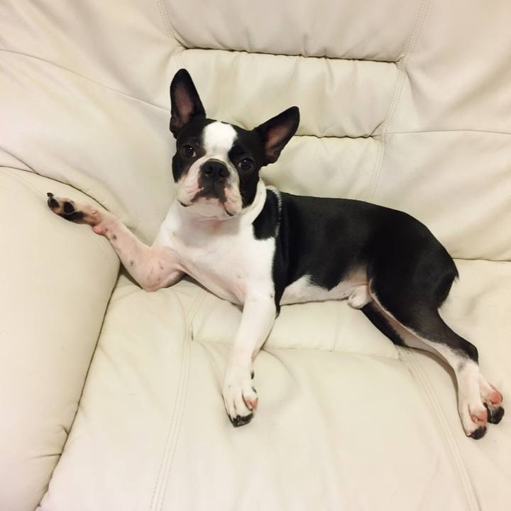 Eb30b46c d012 4558 8d13 131d3671e162