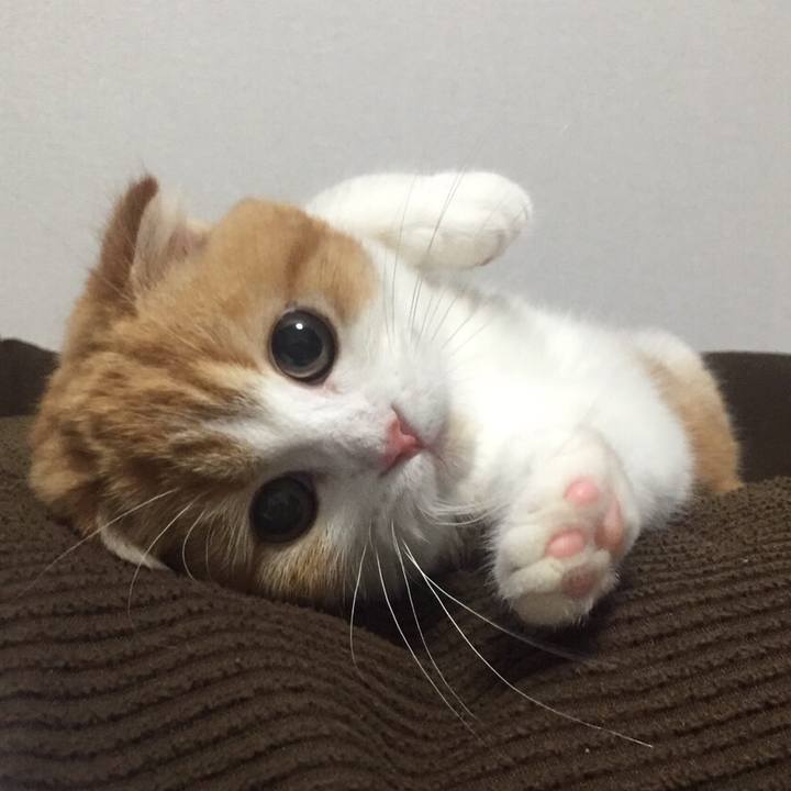 Eb30dc95 92a4 43b2 ac8c 207c3e61462d