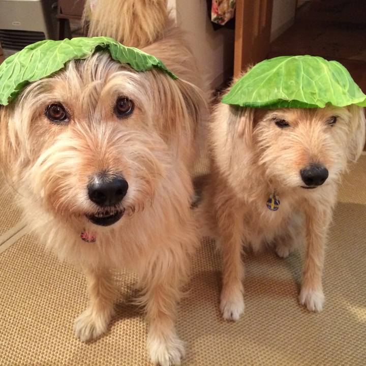 Eb30e5f6 3c46 4d50 8a45 09808c516dbf