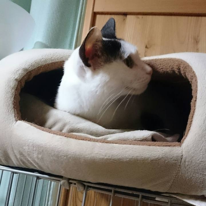 Eb31299c aa51 48c7 ac91 76cbe63a9d35