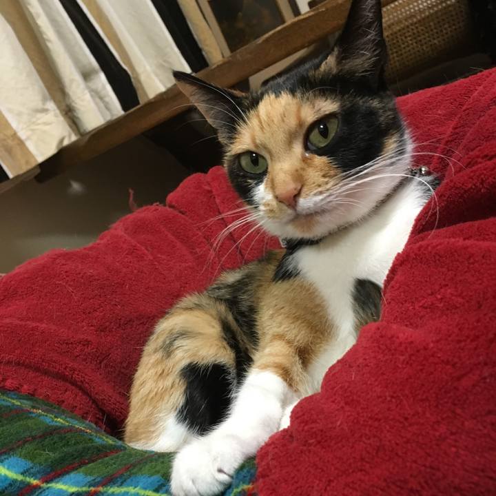 Eb313e0a 5c25 43e3 85dc 21b140f3be8d