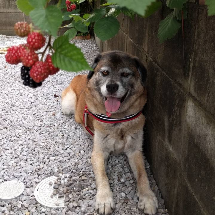 Eb317b77 ffac 4986 aa55 a0dec9df4371