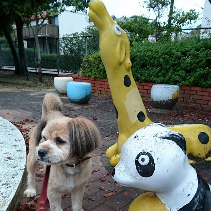 Eb31dbb1 5d99 4a13 ac2d 654b54351ccb