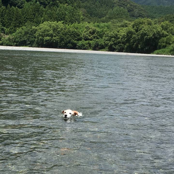 Eb324477 e5c7 4525 90d5 e3df1ed91cca