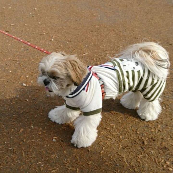 Eb32e5e2 d3eb 4e16 b585 f7c53c7846cf