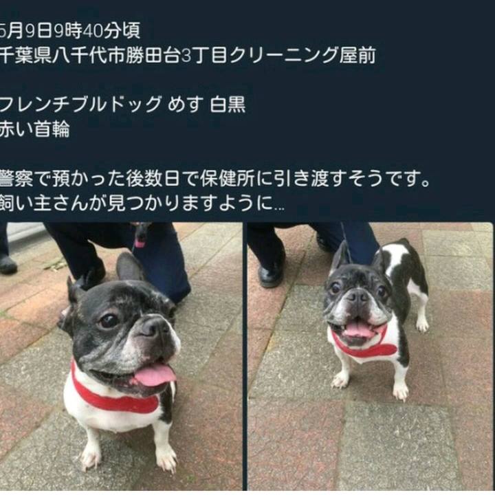 Eb347b3e f27d 46a2 8858 0023638dc634