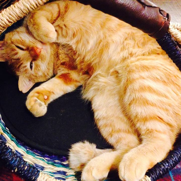 Eb35623e f6c0 43cc bd2f 1e3bee5ab7a9