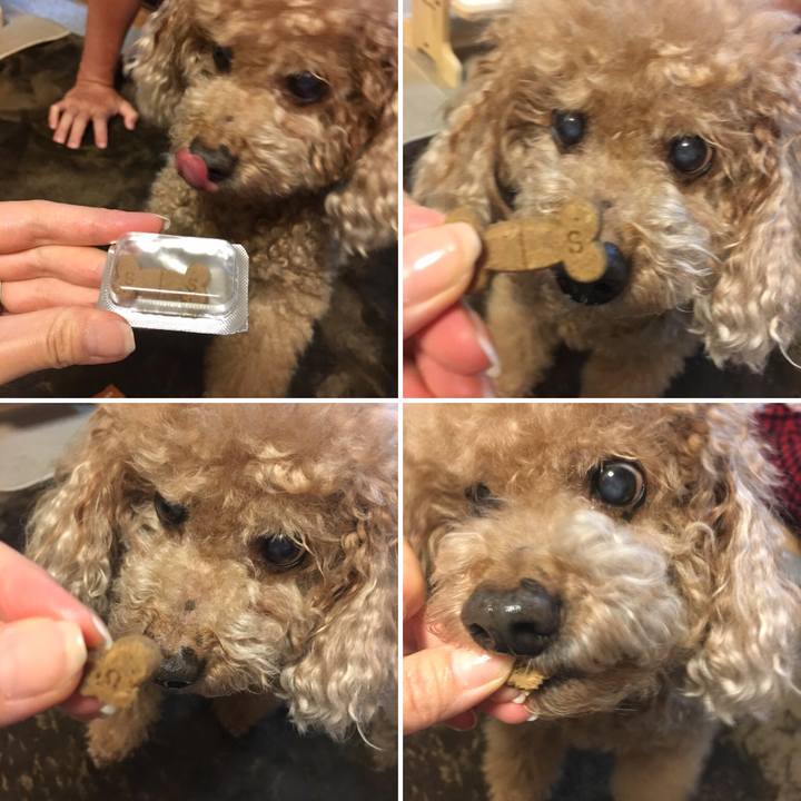 Eb357fed 805d 4cf4 af6a cd1984935702