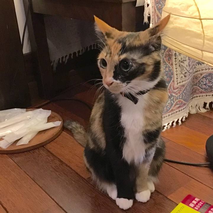 Eb35e3ca 92ce 46fd bf6d 827a263ed3e3