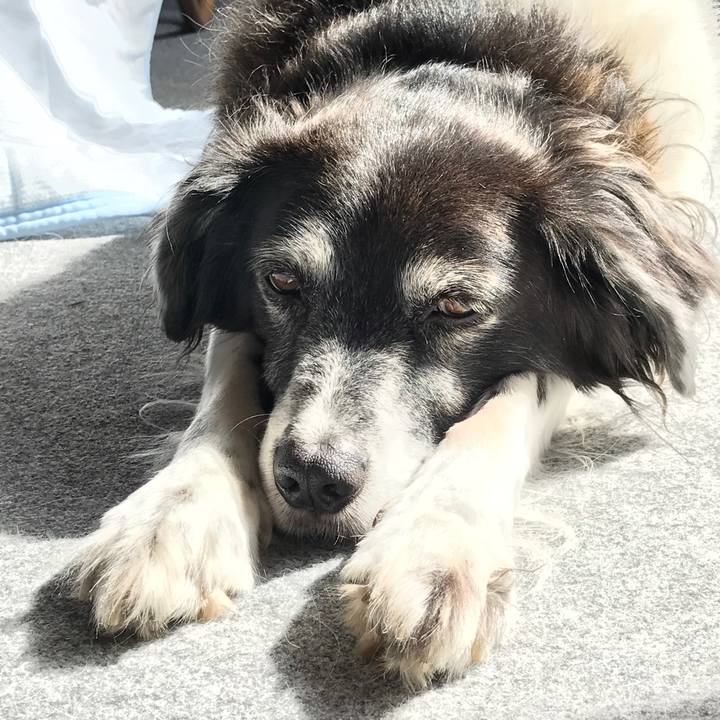 Eb35fa4a 5fbb 4a47 bdd2 357d0ae6795a